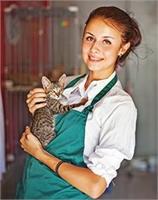 volunteer opportunity image