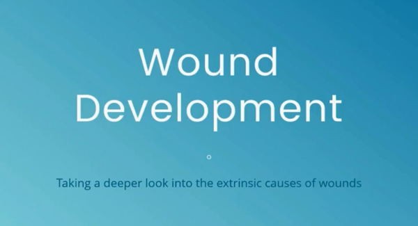 Wound Development: Taking a deeper look into the 3 extrinsic factors of wound development: pressure, shear and microclimate Wound Development: Taking a deeper look into the 3 extrinsic factors of wound development: pressure, shear and microclimate