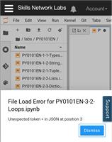 An image showing the file load error after I abruptly stopped an infinite loop.  