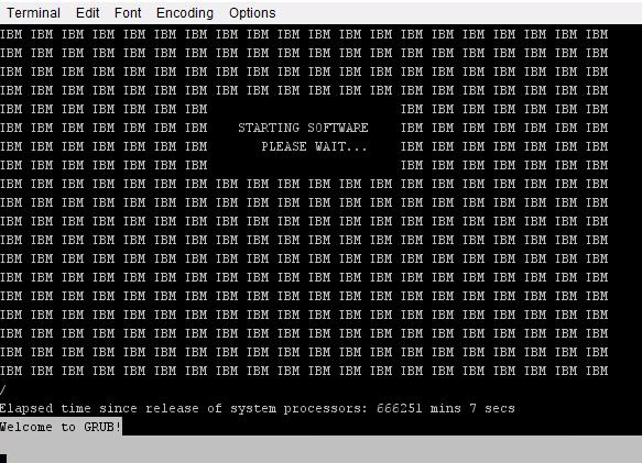 Screenshot from HMC when booting Ubuntu