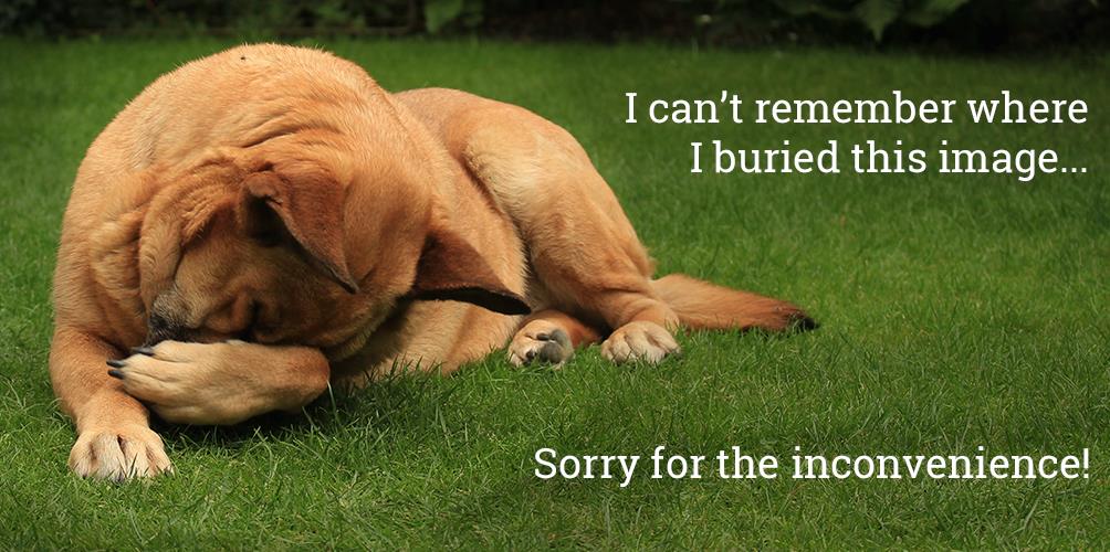 I can't remember where I buried this image. Sorry for the inconvenience!