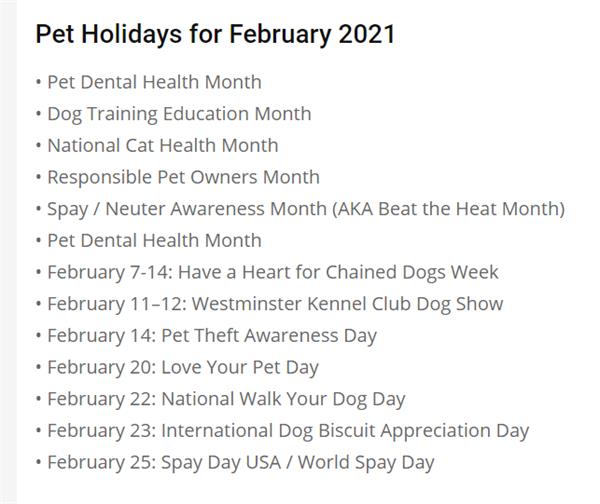 Pet Holidays - FEBRUARY