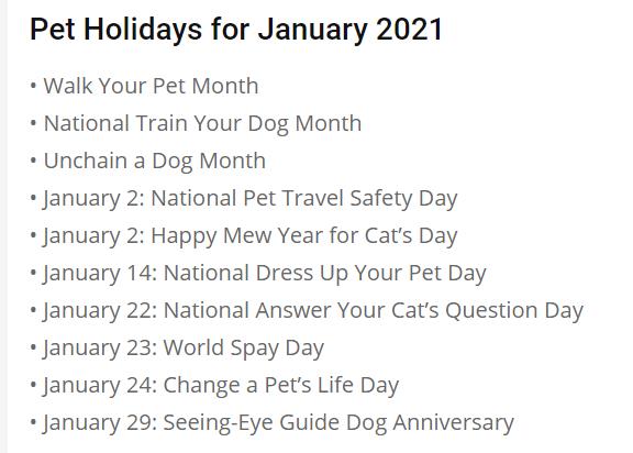 Pet Holidays - JANUARY
