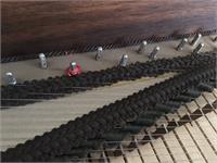 Close-up view of cloth stringing braid. Foam rubber underneath.