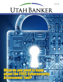 Issue 2 - What do you need to know about the FFIEC Cybersecurity Assessment Tool?