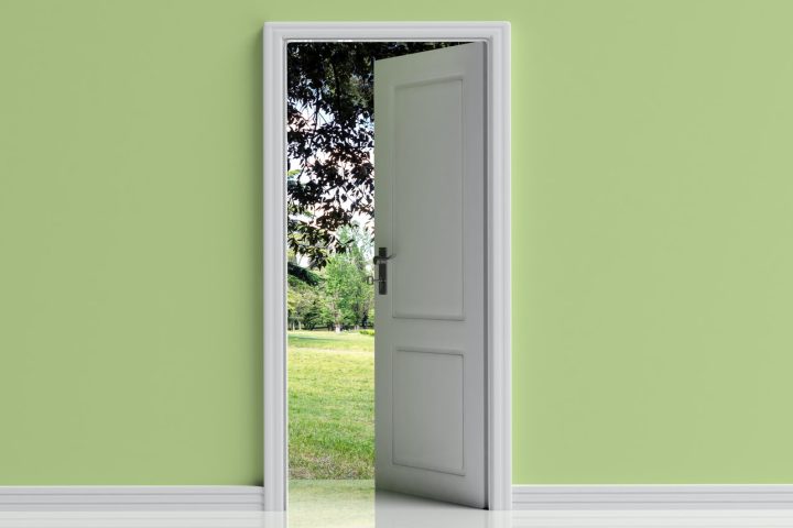 Open door on green pastel wall background, Park view out of the door opening, 3d illustration