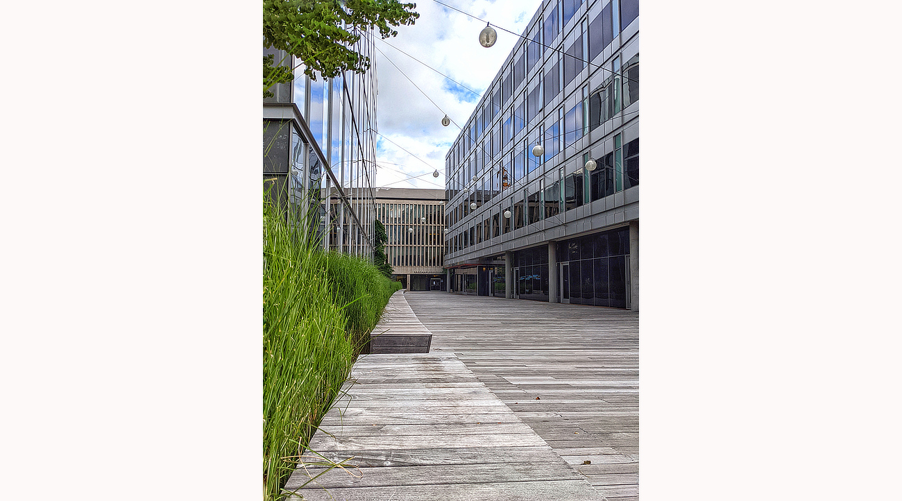 University of Washington School of Medicine