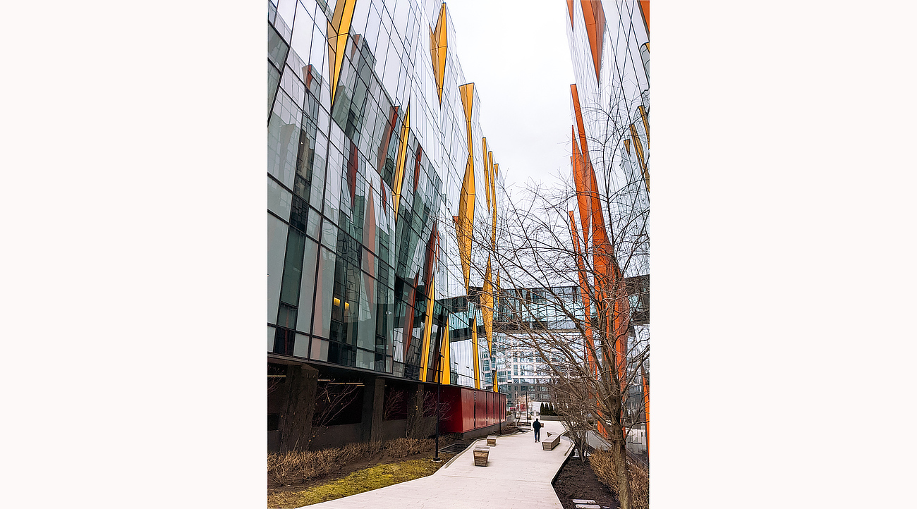 University of Washington School of Medicine