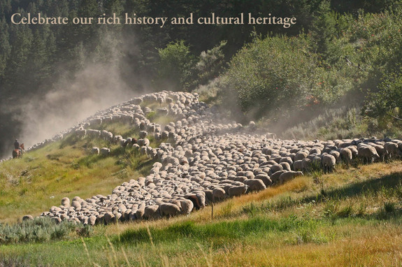 trailing-of-the-sheep