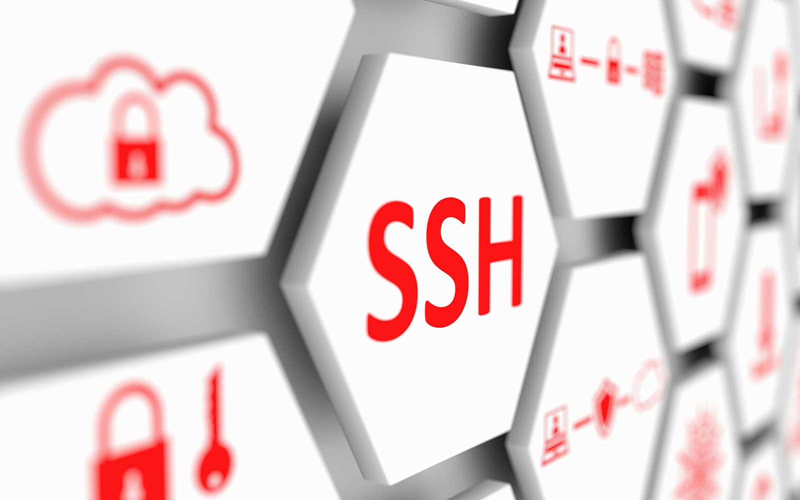 Login to GitHub on macOS Using SSH Key