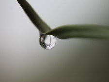 Free Advice and Fortunes Told photo