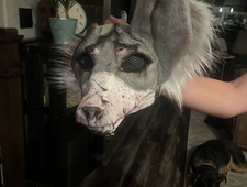 I Wanted Violence photo