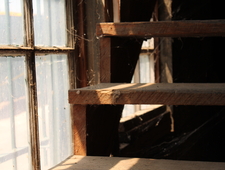 "Stromatolites" alternate ending photo