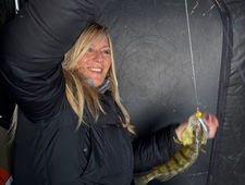 The Last American Woman photo