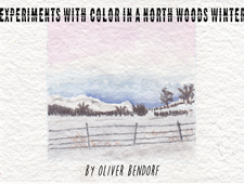 Experiment With Color in a North Woods Winter photo