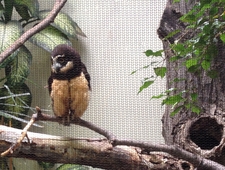 Time and Resonance: An Interview with Shane Jones photo