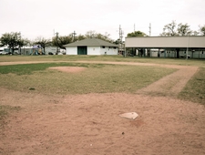 Shoeless Joe Was a Pelican photo