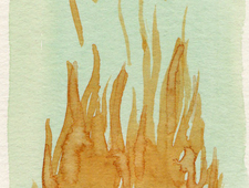 Knifehandle Sweetheart photo