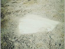 Only Catchers Get Credit For Their Unflinchingness photo