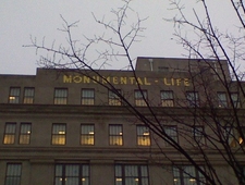 Apprehension & Other Colors, Fit to Size photo