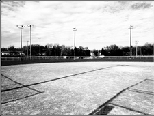A Visit to the Dock photo