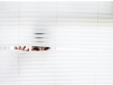 In Defense of Ostriches photo