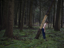 A Thicket. A Glen. photo