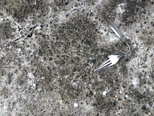 We Were Homeless photo