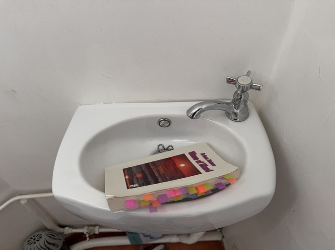 The Heart as Taboo: A Review of Ariana Reines's Wave of Blood photo