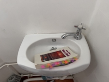 The Heart as Taboo: A Review of Ariana Reines's Wave of Blood photo