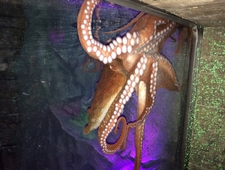 Facebook Friends photo