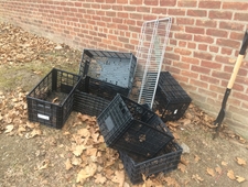 On Failing: Rocky Versus Rambo photo