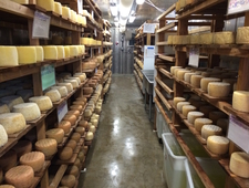 deaths in the family photo