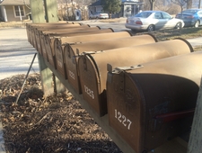 A Brief Family History photo