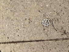 Slung Out and Wayward photo