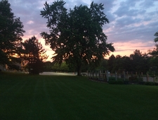 The Man Who Isn't My Father photo