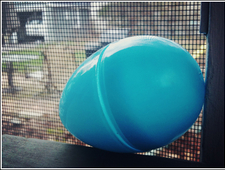 Easter at Uncle Nikolai's photo