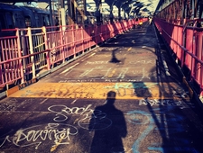 I Had a Dream That Was a Salsa Flavor photo