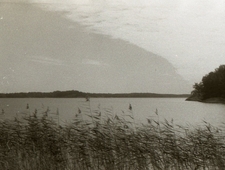 Divine Worship photo