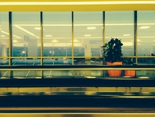 Six Days in Glorious Vienna photo