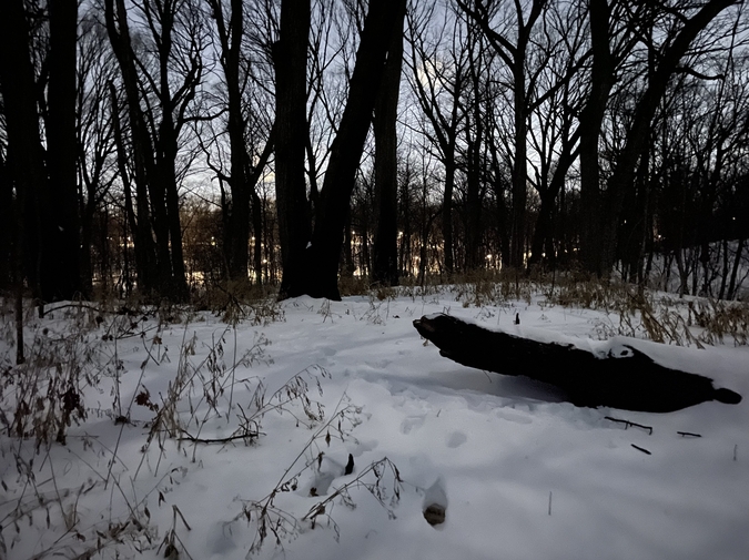 The Little Sandbagger photo