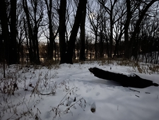 The Little Sandbagger photo