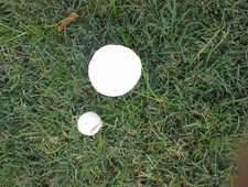 Artificial Ecstasy photo