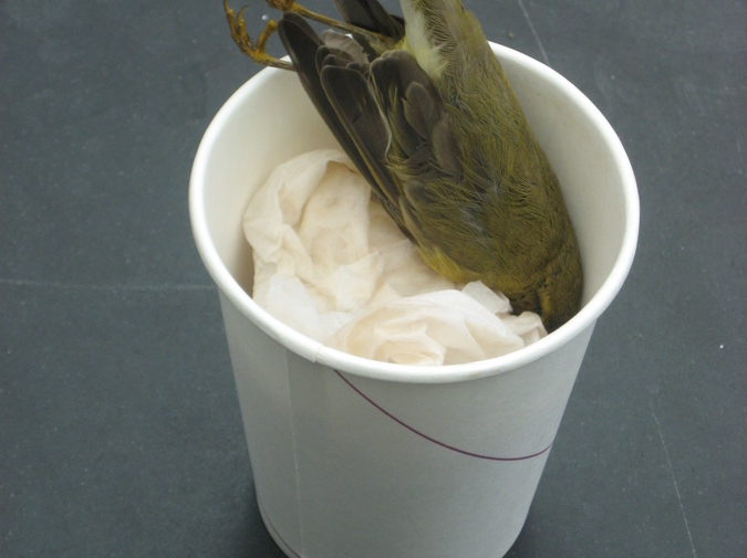 A Stipulative Definition photo