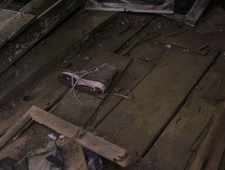 I'm Not Joking photo