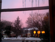 My Old Friend Lou photo