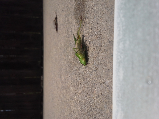 Needs #1 & Needs #2 photo