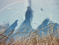 Two Presidents photo