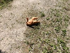 all gods & mysteries photo