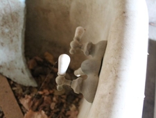 Caves of the Rust Belt photo